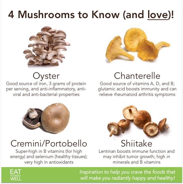 4 Mushrooms to Know (and Love!)